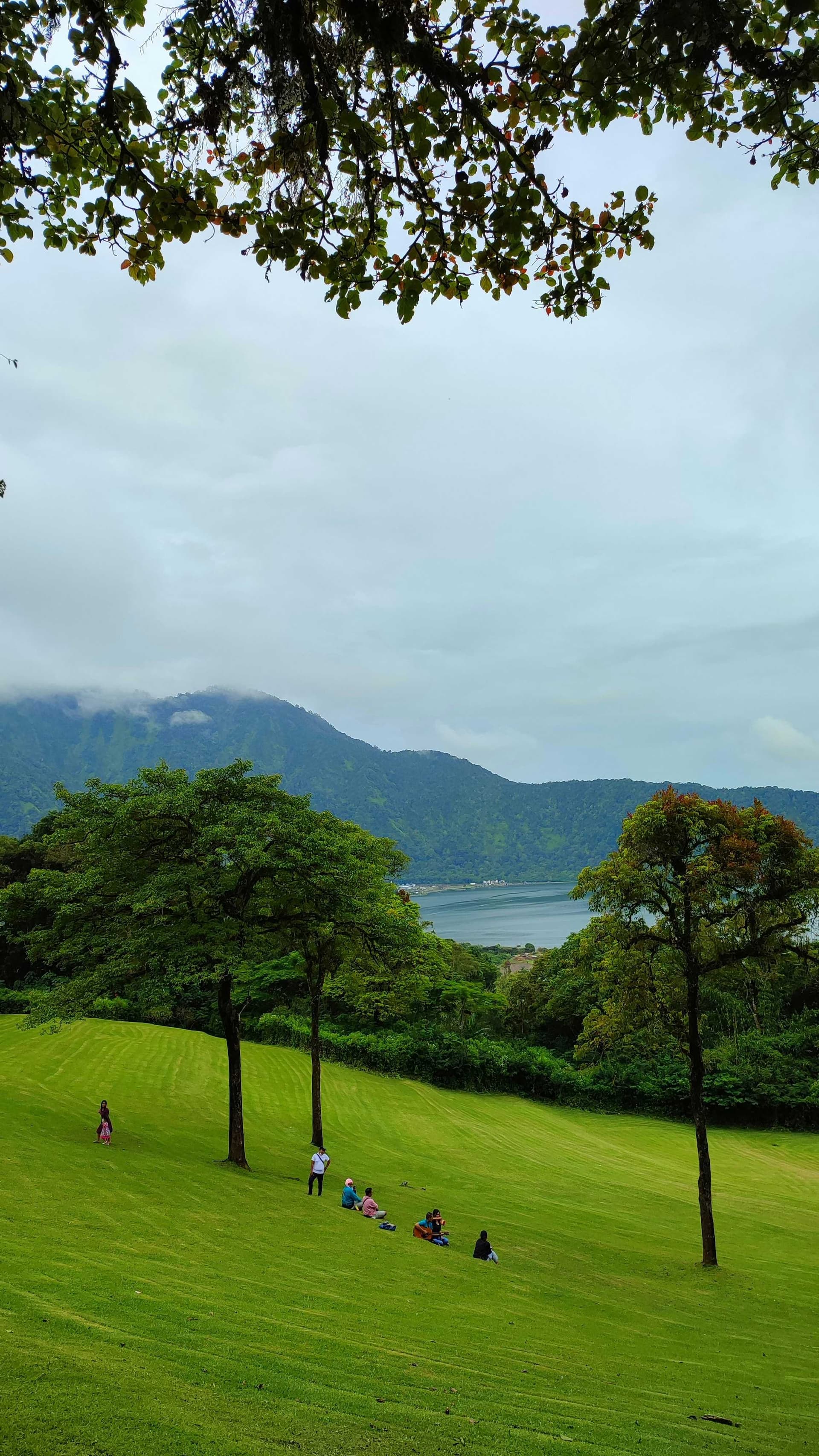 Bedugul